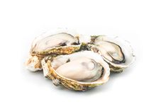 Устрица Розовая Джоли, шт Устрица Розовая Джоли, шт