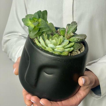 IDOL композиция из суккулентов в фигурном кашпо