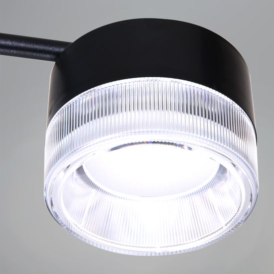 19490-0.4-6+6 Black светильник потолочный