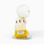 Костюм «Star hit»