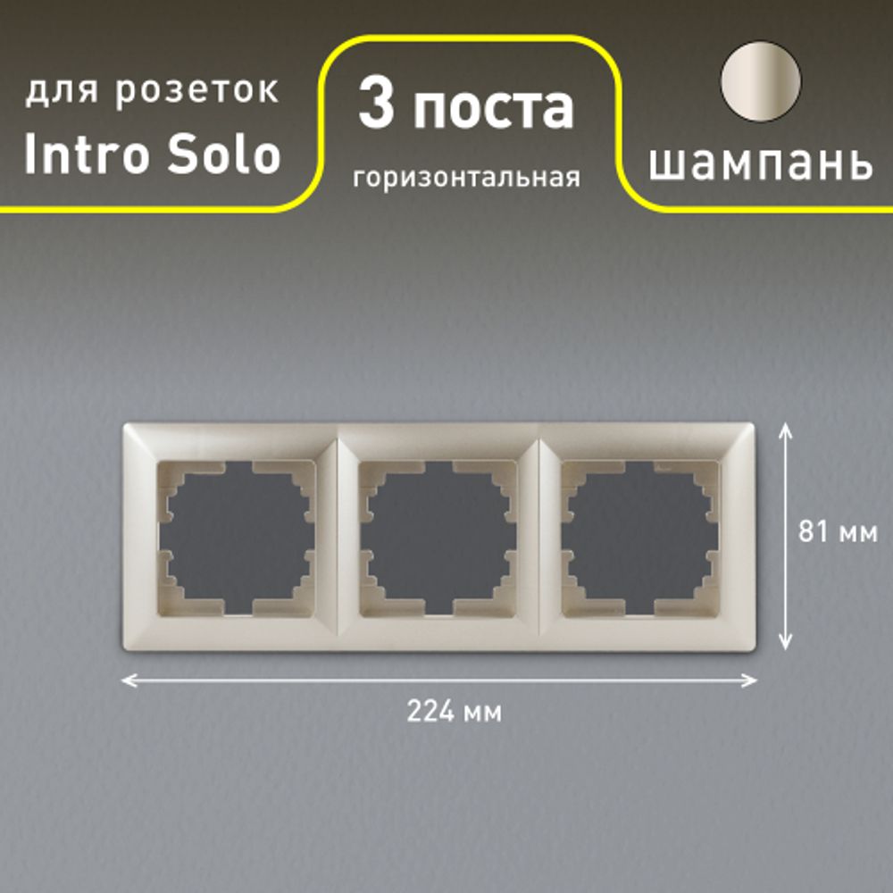 Рамка для розеток и выключателей Intro Solo 4-503-04 на 3 поста, СУ, шампань