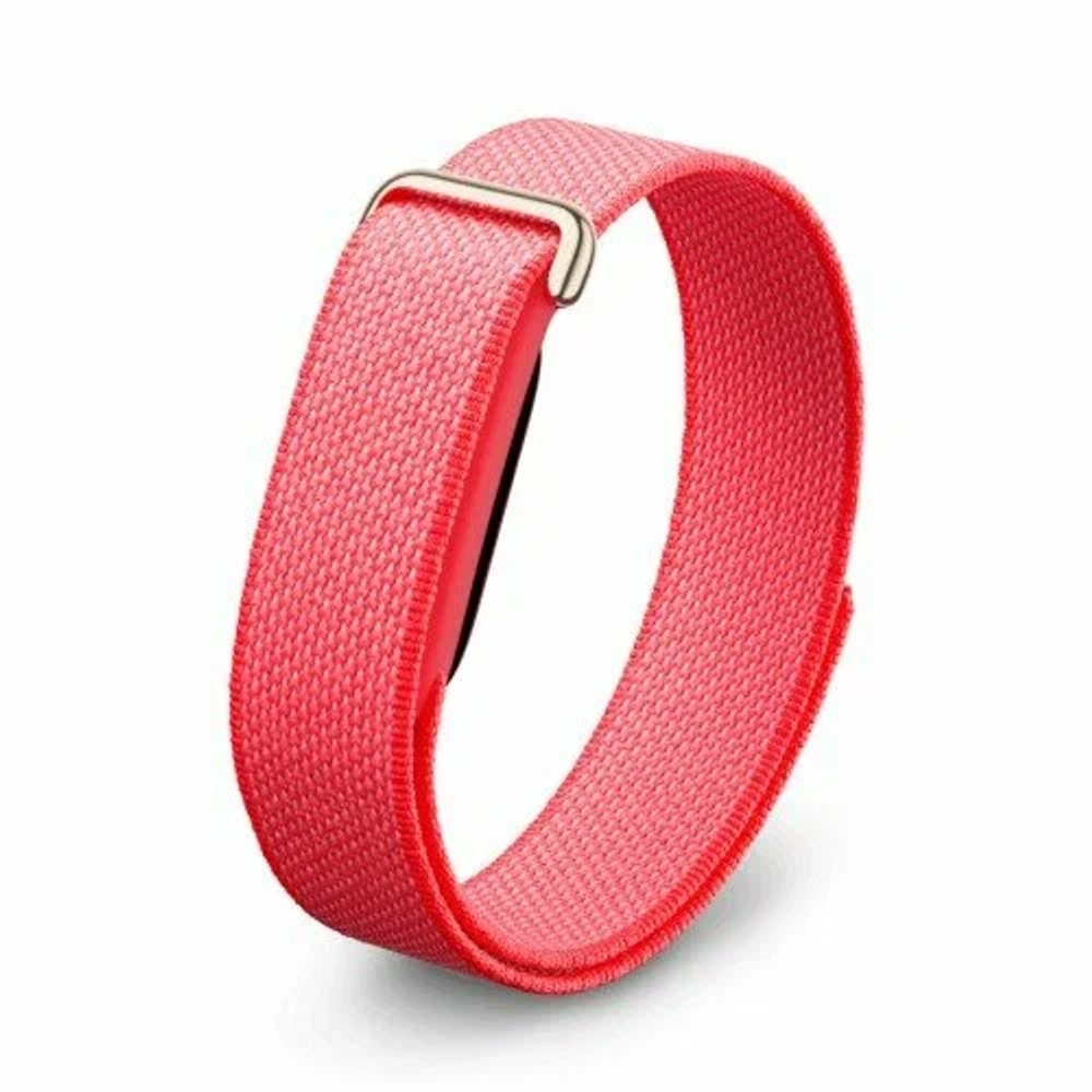 Google Fitbit Air