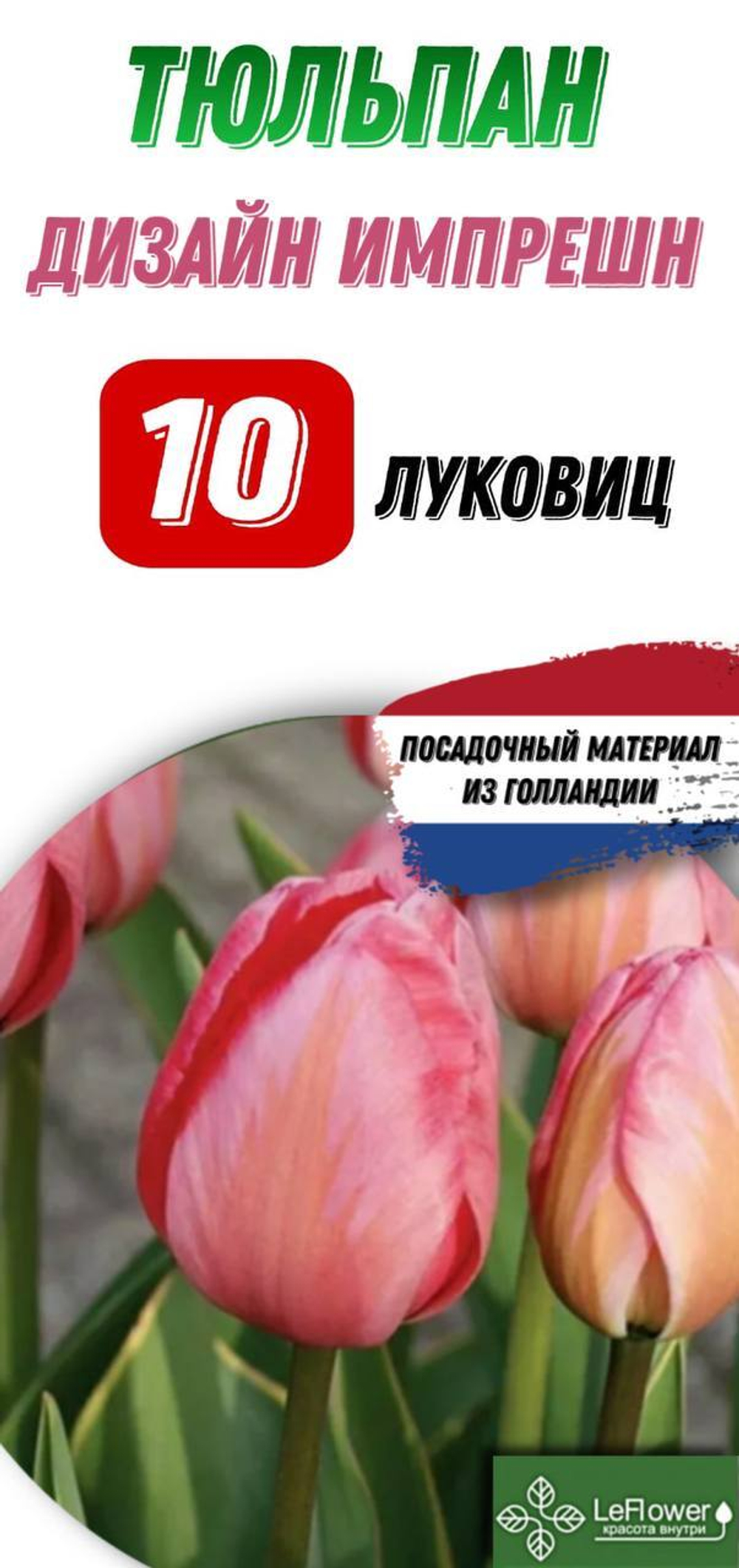 Тюльпан Луковица, Дизайн Импрешн, 10шт
