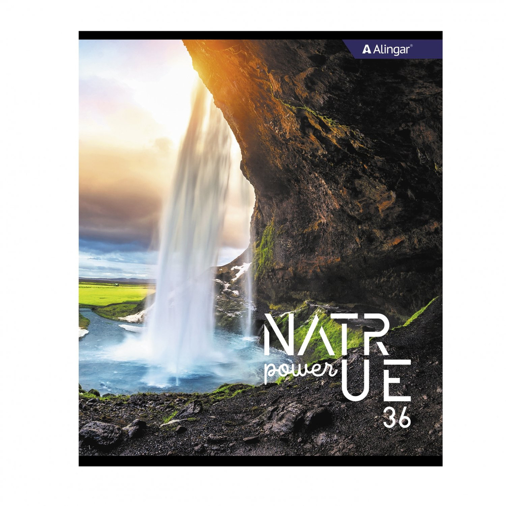 Тетрадь 36 л., А5, клетка, Alingar "Nature power", скрепка, второй блок 60г/м2, мелованный картон (стандарт), 4 дизайна в пленке т/у