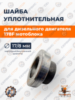 VM0104-178F-(2)