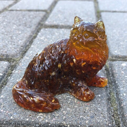 Кошка пушистая