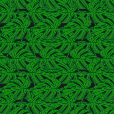 Monstera leaf seamless tropical pattern.