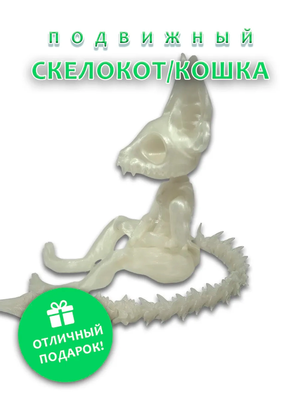 Скелет Кошки