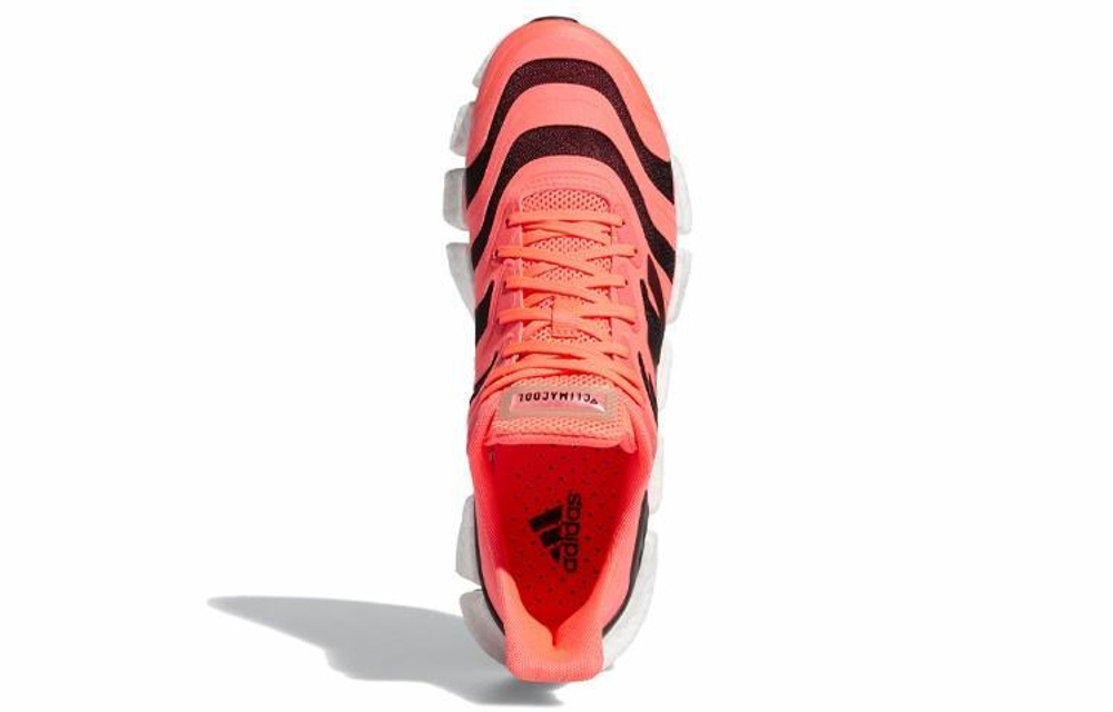 Кроссовки Adidas Climacool Vento