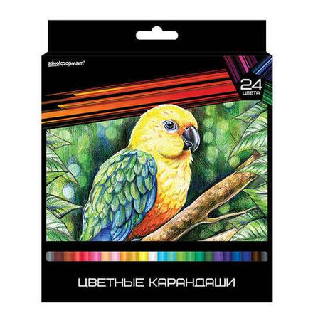 Карандаши цветные трёхгранные 24цв. Schoolformat Дикая планета