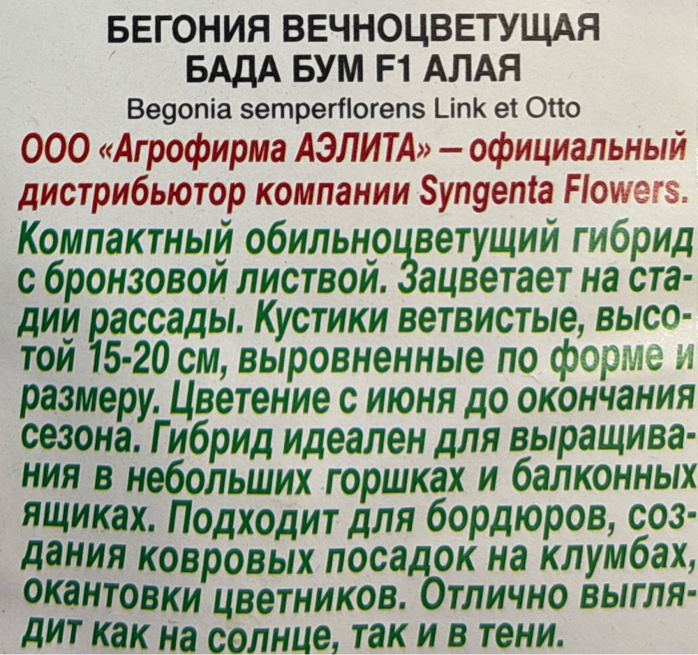 Бегония Бада бум F1 алая СМЦ-775