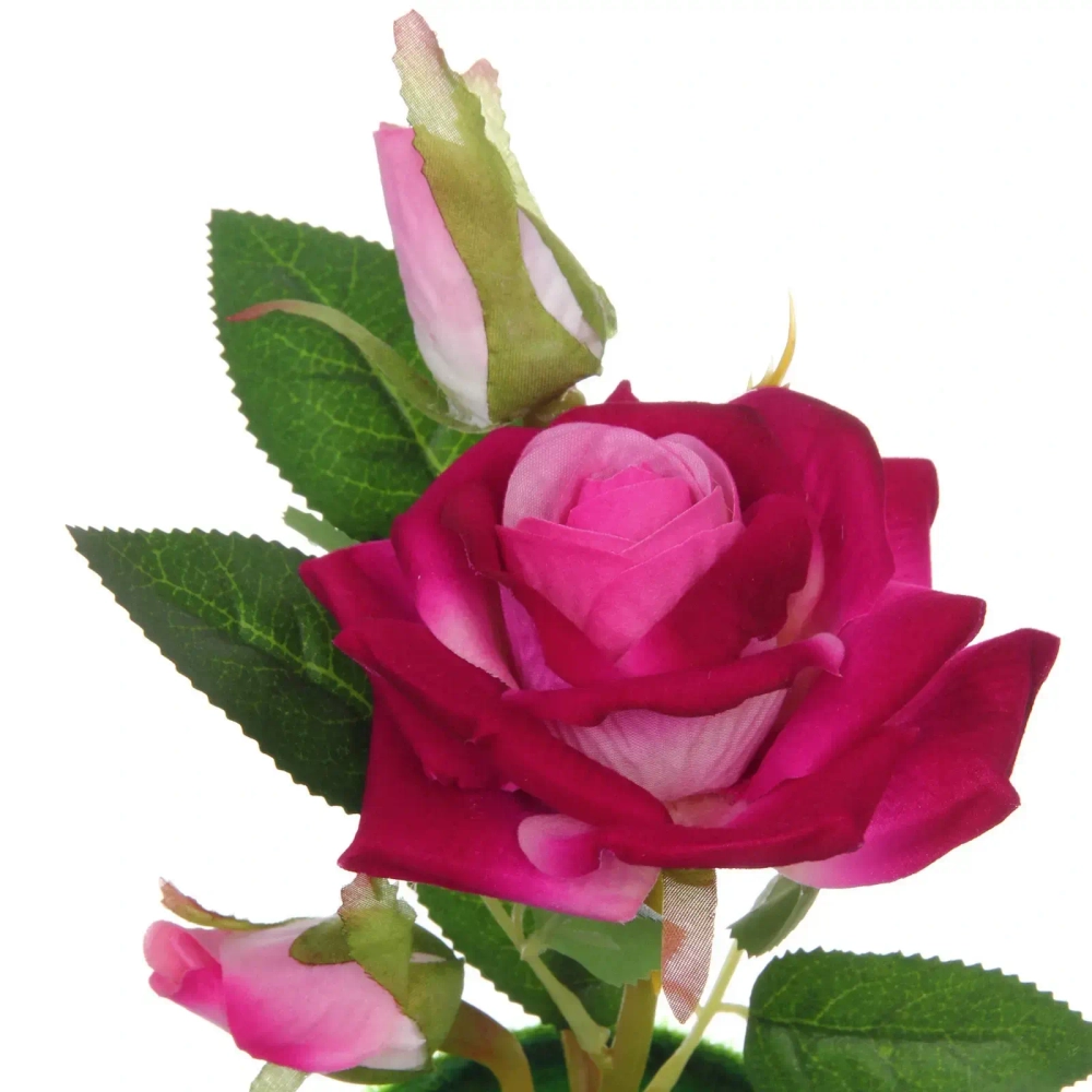 Цветочная композиция «Розовый восторг» 22см в горшке, цвет лиловый