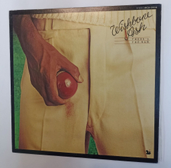 Винтажная виниловая пластинка LP Wishbone Ash Theres The Rub (Japan 1974)