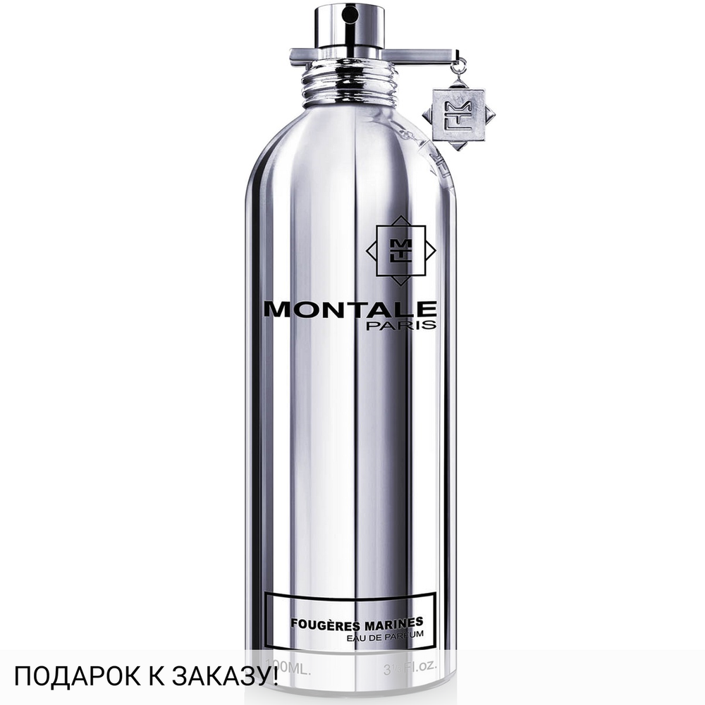 Montale Fougeres Marines