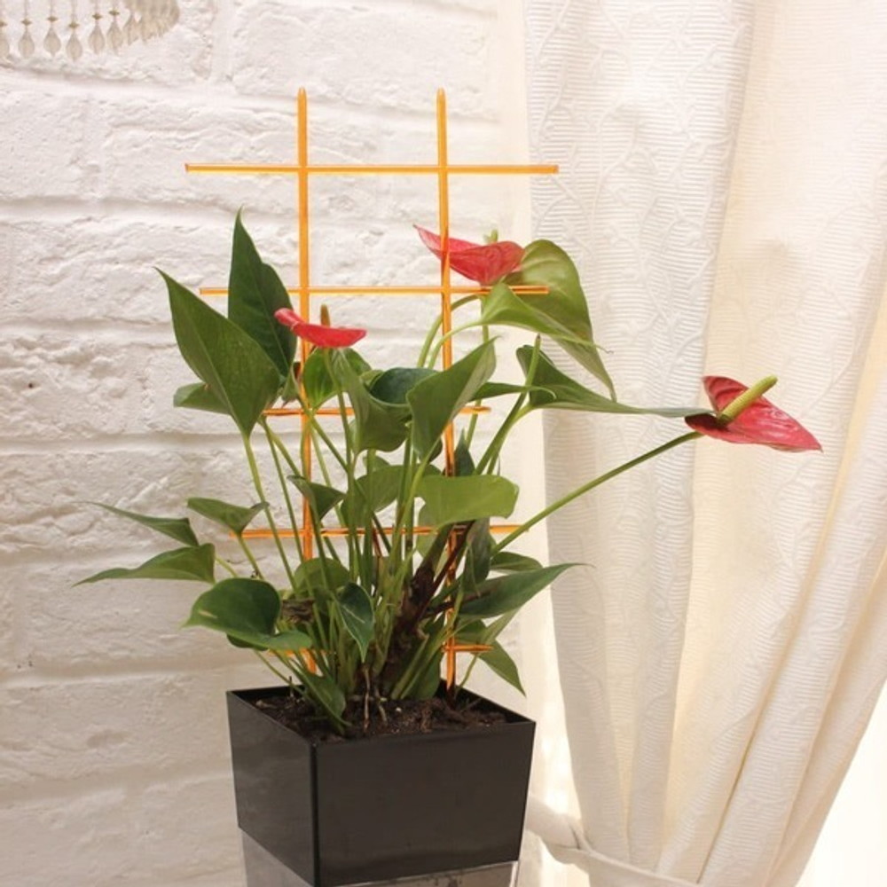 Опора «Лесенка» 45см прозрачная