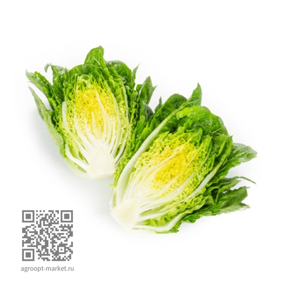 Ралстон семена салата ромэн (Rijk Zwaan / Райк Цваан) – фото 2