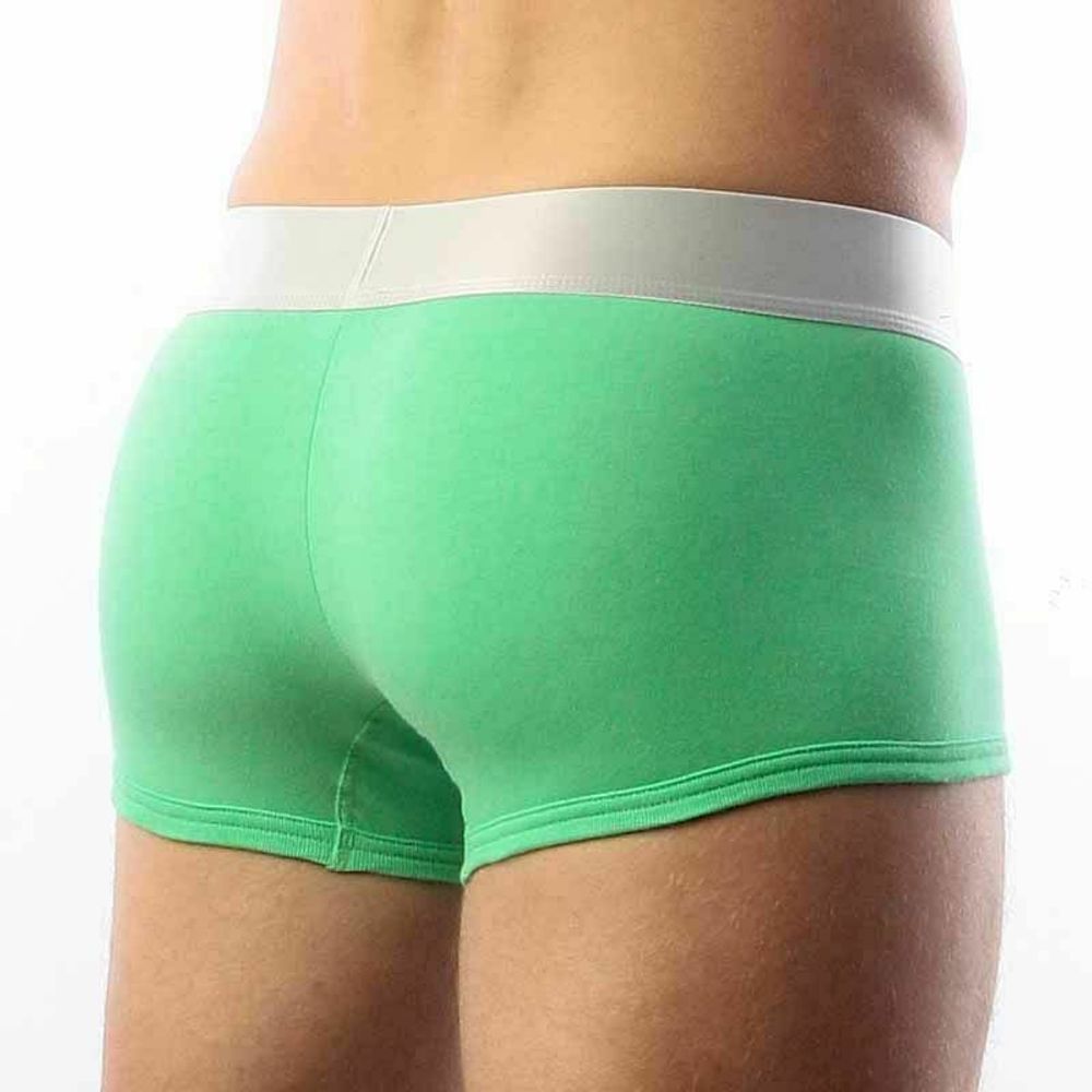 Мужские трусы хипсы зеленые Calvin Klein Boxer Green