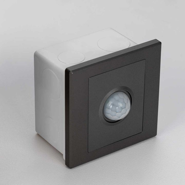 Датчик движения Citilux Скалли CLR005KS1