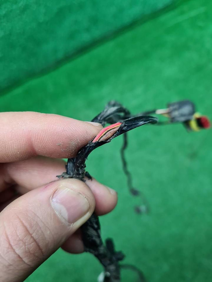 Проводка заднего бампера Omoda S5 (2022-н.в.)