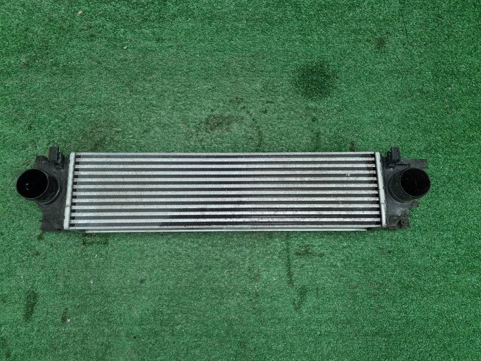 Интеркулер Geely Tugella (2019-н.в.)