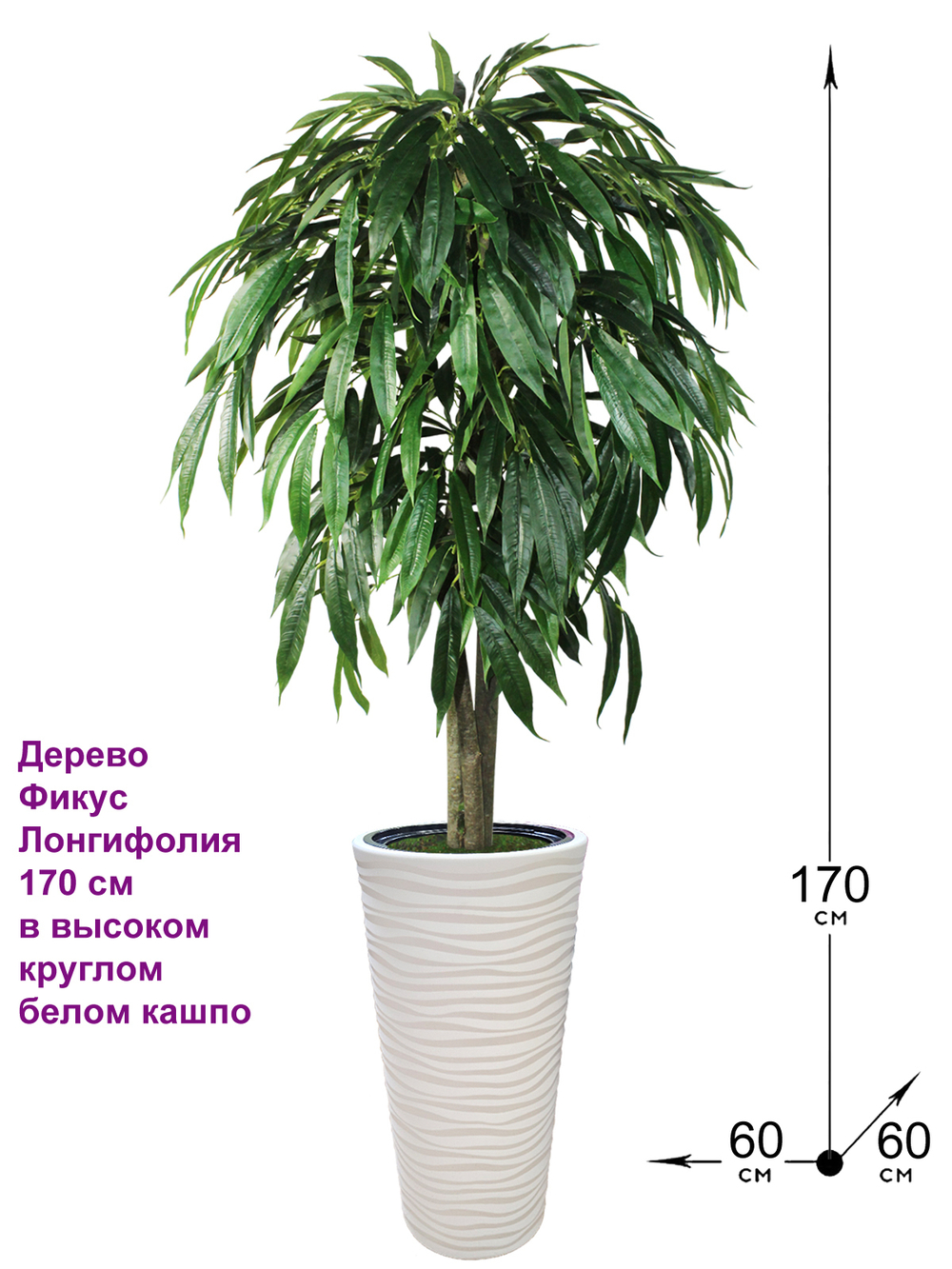 Искусственное дерево Фикус Лонгифолия 170 см в высоком круглом белом кашпо