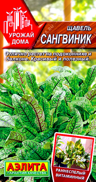 Щавель Сангвиник