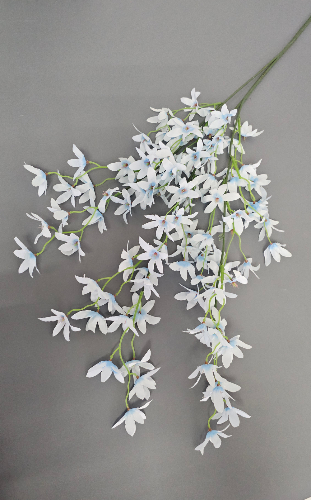 Сакура Звёздочка / Арт 1171