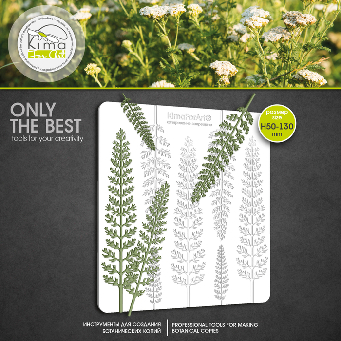 Тысячелистник листья