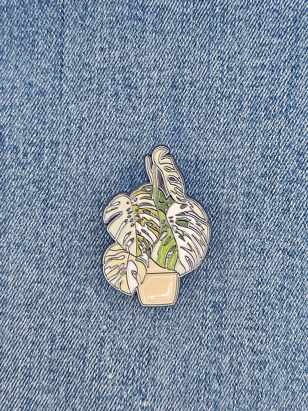 Значок Монстера Альба