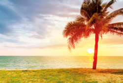 Коллекция Морской пейзаж