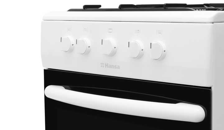 Газовая плита Hansa FCGW51041