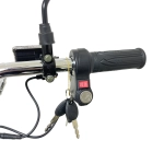 Электроскутер Wolong C4