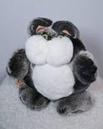 Кот Марсель (черно-шиншилловый) - уникальный окрас