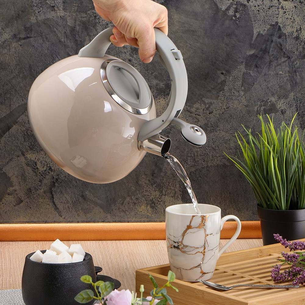 Чайник нерж, 2.7 л, свист, ручк бакелит, с силик покр, Daniks, индукц, беж, M-083G