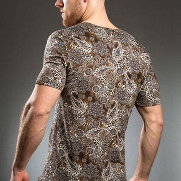 Мужская футболка коричневая с принтом Doreanse 2830