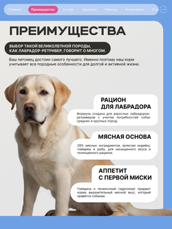 Корм сухой для взрослых собак породы Лабрадор-ретривер, премиум полнорационный комплекс, с говядиной, 3 кг, QUATTRO