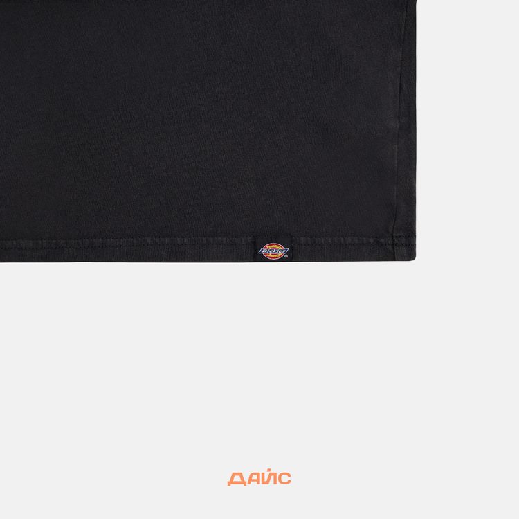 Лонгслив мужской Dickies Plentywood артикул:DK0A866CH861 - купить в магазине Дайс