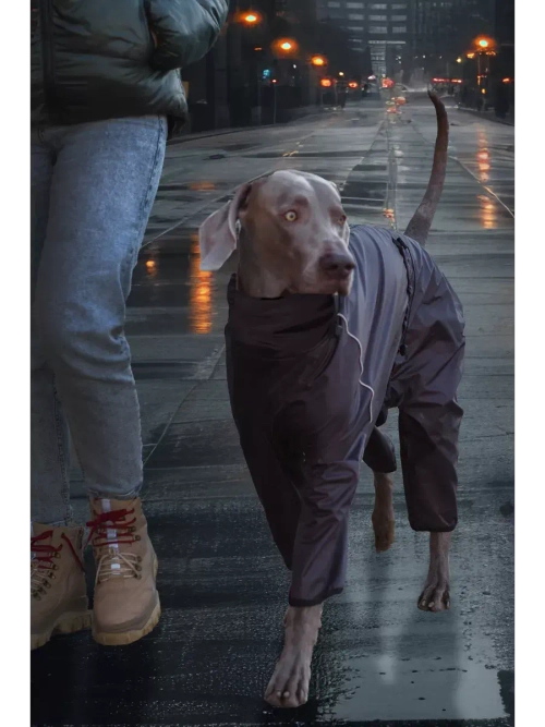 Комбинезон дождевик для собак средних и крупных пород