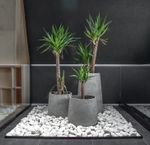 Кашпо CONE NERO