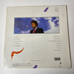 Винтажная виниловая пластинка LP Chris de Burgh Into The Light (Germany 1986) The Lady In Red