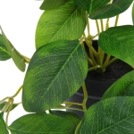 Цветок искусственный в горшке «Хойя» 20см