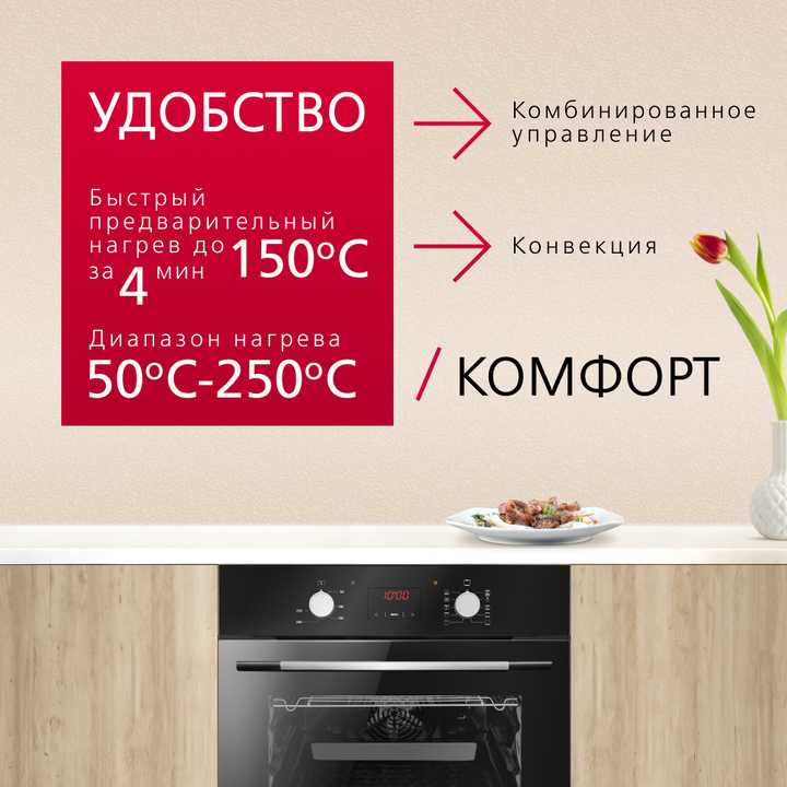 Духовой шкаф Hansa BOES68460