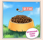 Корм для котят сухой ZILLII Kitten 10 кг, с индейкой и ягнёнком