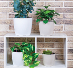 Кашпо АНФА 6,0л D220мм H=200мм вставка V=3,8л и автополив, с индикатором уровня воды