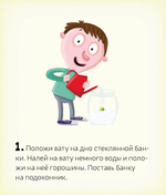 Сад круглый год