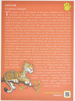 ИТАЛИЯ, 2022, 5 ЕВРО