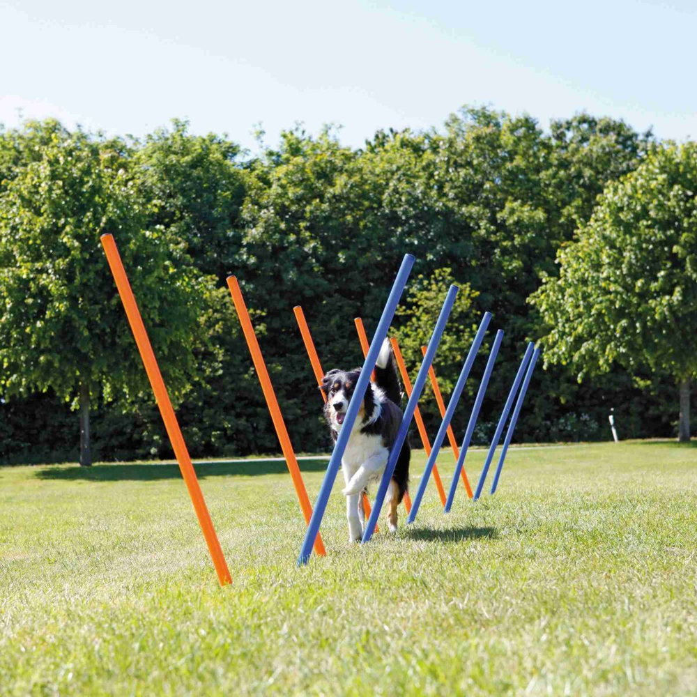 Набор для аджилити Trixie Slalom, размер 115х3.3см.