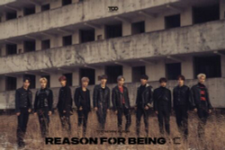 Альбом TOO - Reason For Being 1st Mini Album 2 Version SET