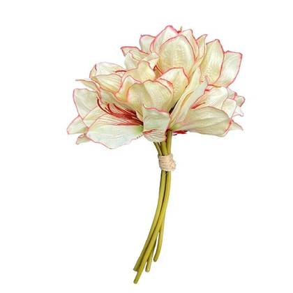 Амариллис, букет