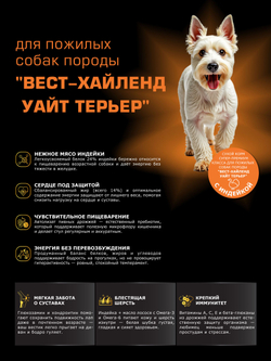 Корм сухой для пожилых собак породы Вест-хайленд уайт терьер старше 7 лет, с индейкой, 800 гр, QUATTRO